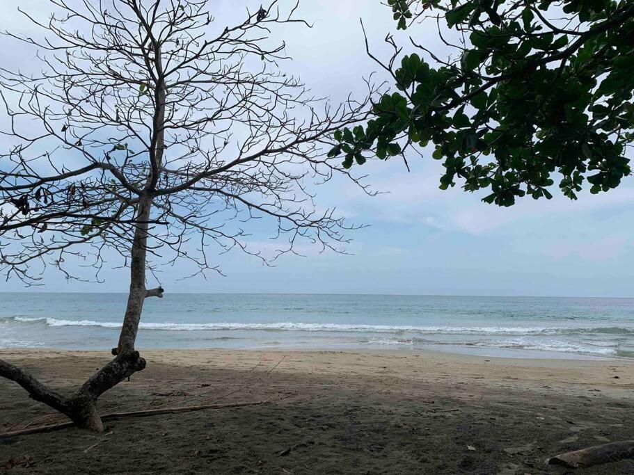 Beautiful Loft Near The Beach Apartment มันซานีโย ภายนอก รูปภาพ